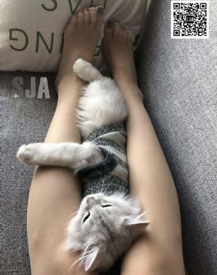 亚洲无线码在线高清_超清完整在线观看