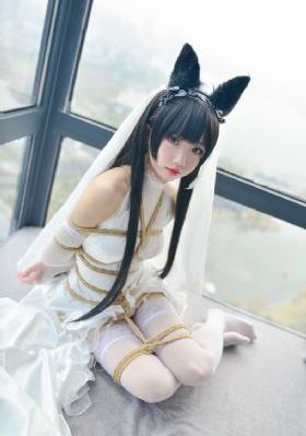 天天干天天操天天干_蓝光在线播放